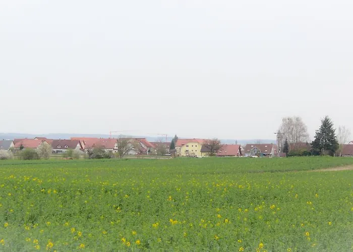 公寓 斯帕珍妮斯特公寓 *